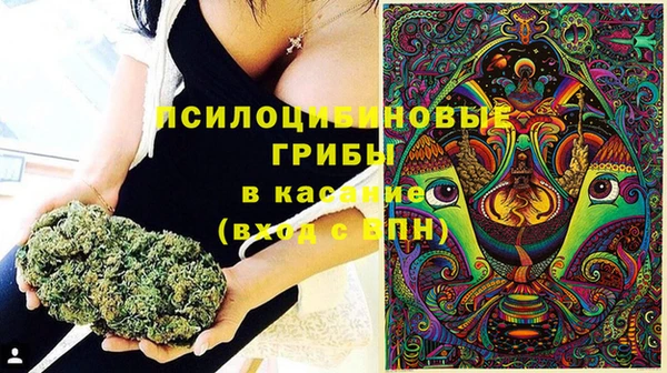 бутират Краснотурьинск