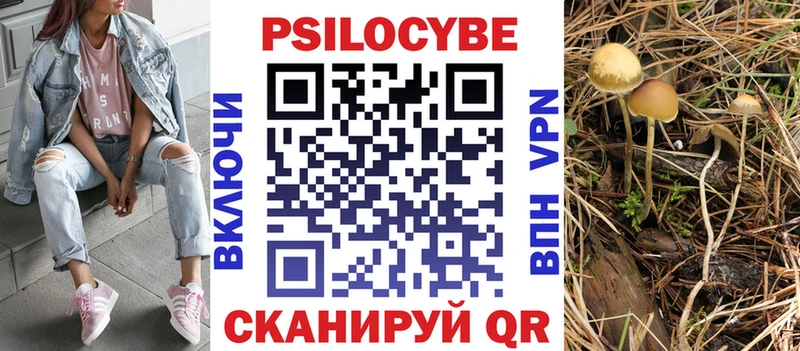 Псилоцибиновые грибы Psilocybe  Кореновск 