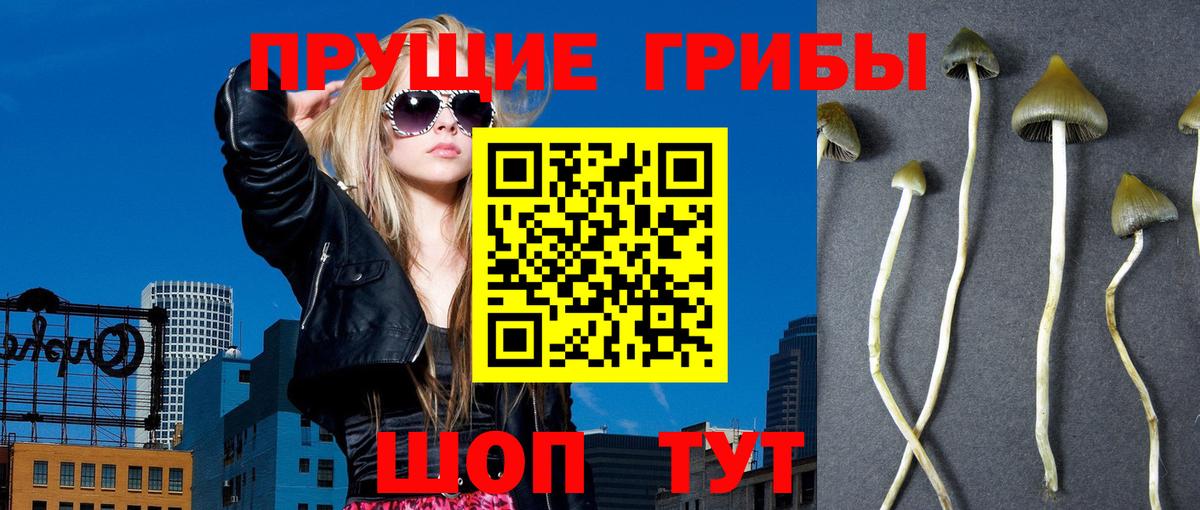 Псилоцибиновые грибы Magic Shrooms  Вход с VPN  Кореновск 