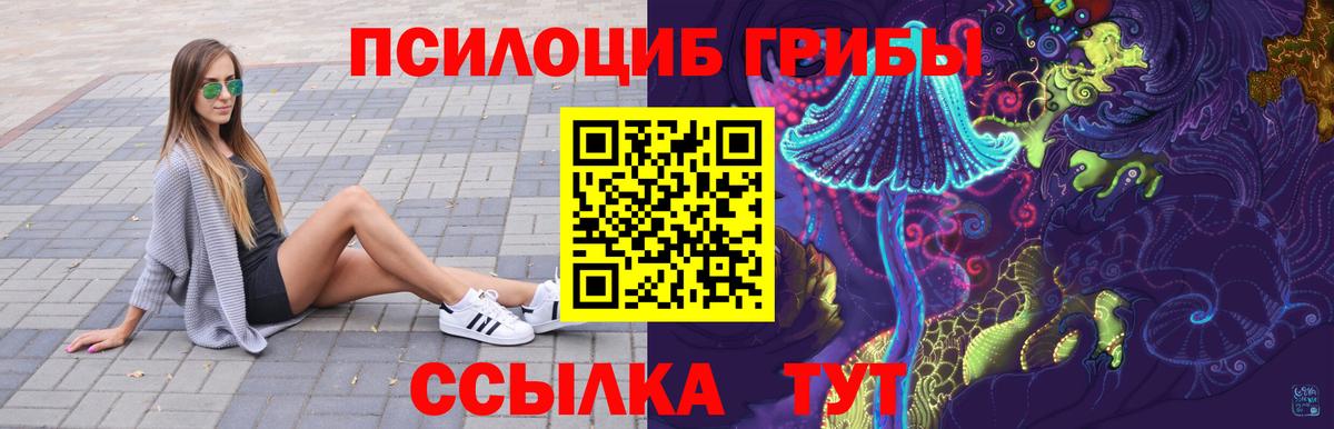 Псилоцибиновые грибы Cubensis Кореновск